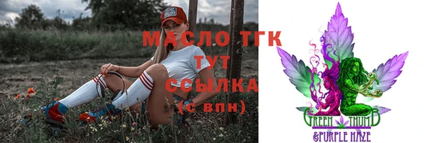 спиды Вяземский